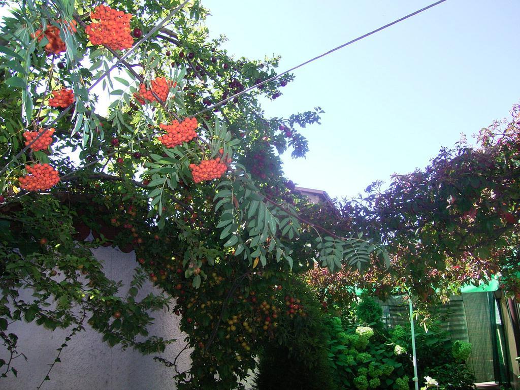 Guest House Zodiac Samokow Exterior foto