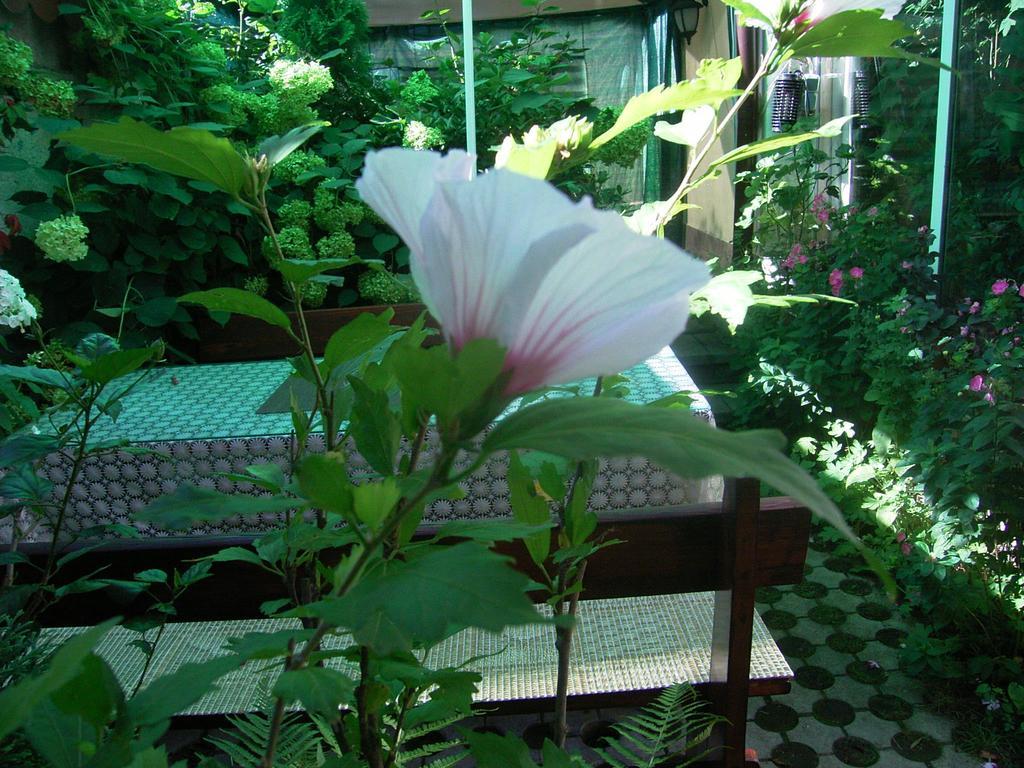 Guest House Zodiac Samokow Exterior foto