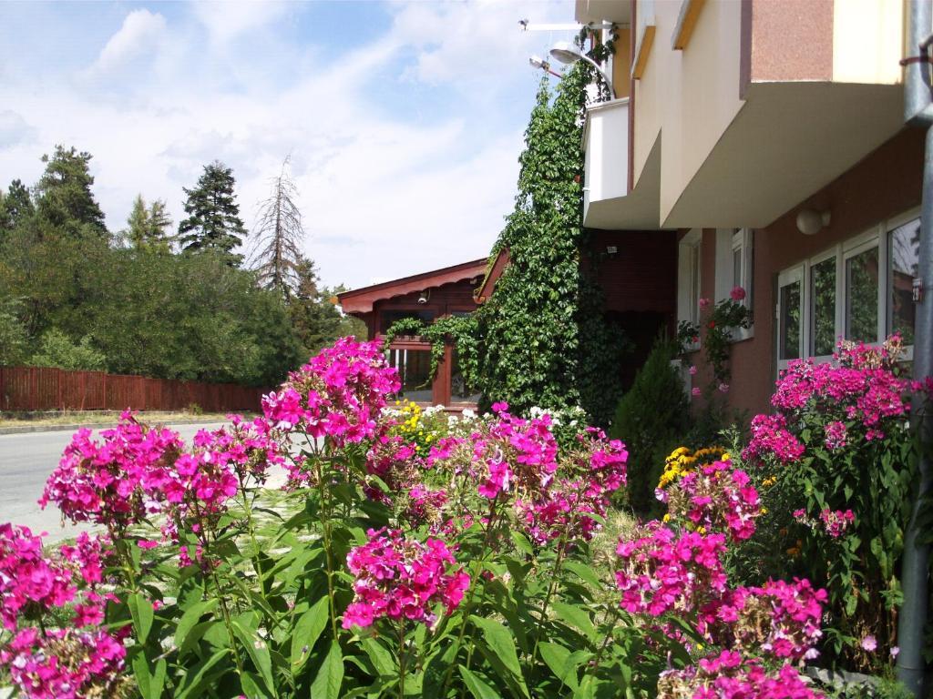 Guest House Zodiac Samokow Exterior foto