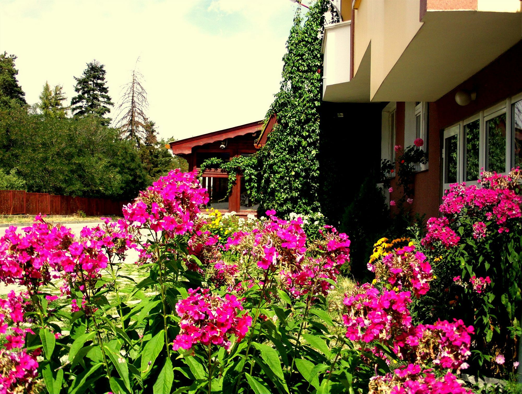 Guest House Zodiac Samokow Exterior foto
